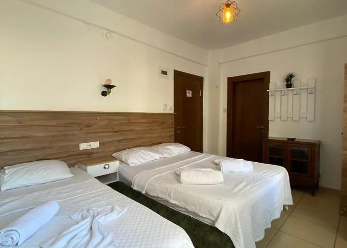 ホテル Ocean Life フェティエ