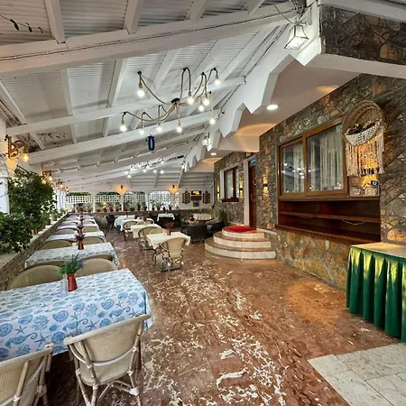 Ocean Life * Φετιγιέ